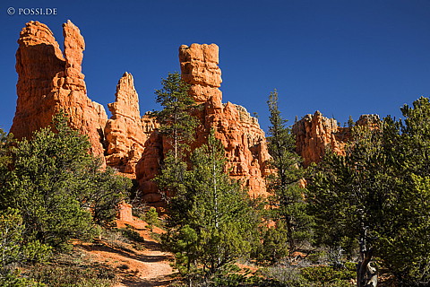 130502-6361.jpg