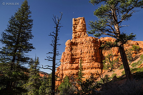 130502-6371.jpg