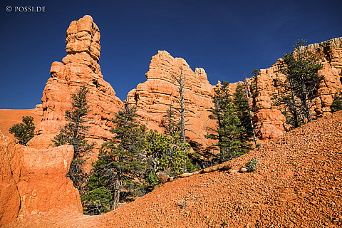 130502-6392.jpg