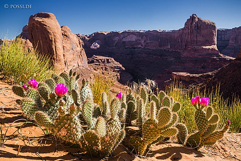 130503-6684.jpg