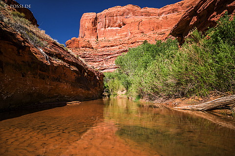 130503-6728.jpg