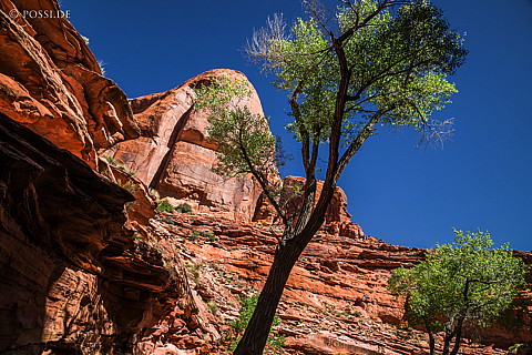 130503-6739.jpg
