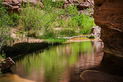 130503-6752.jpg