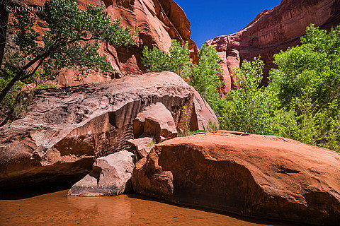 130503-6795.jpg