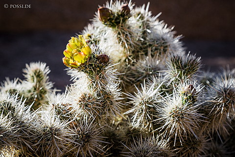 130506-7267.jpg