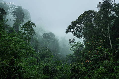 240417-101826.jpg