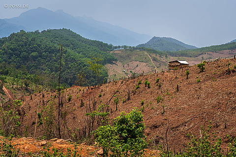 240417-132702.jpg