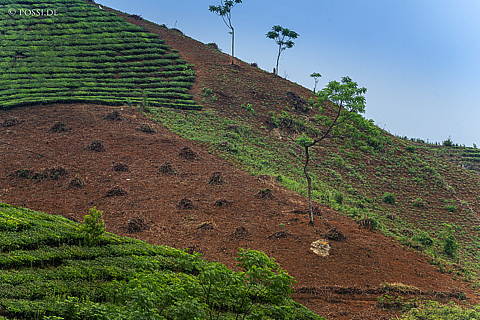 240418-100650.jpg