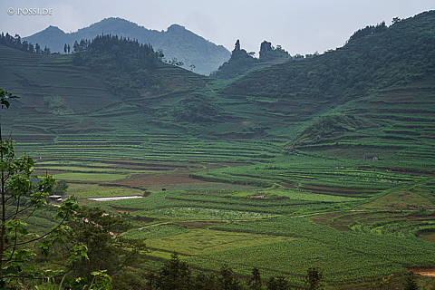 240421-093550.jpg