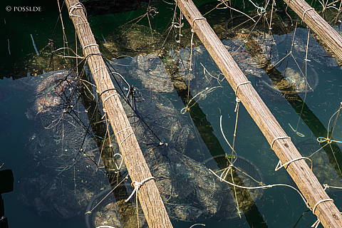 240427-145731.jpg