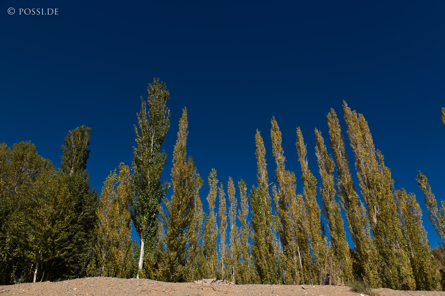 101010-5494.jpg