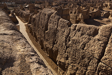 101006-4480.jpg
