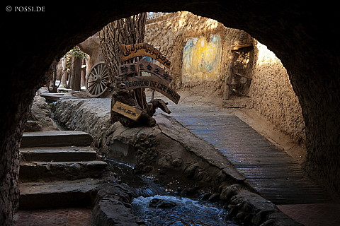 101006-4509.jpg