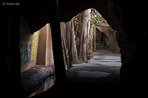 101006-4513.jpg