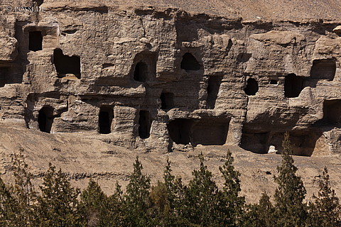 101009-4945.jpg