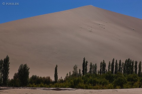 101010-5500.jpg