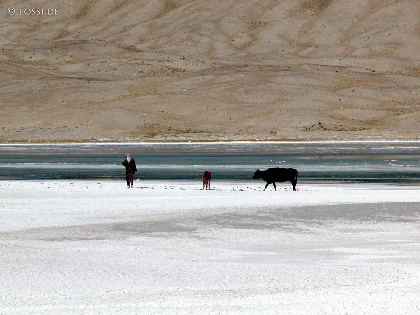 030830-0392.jpg