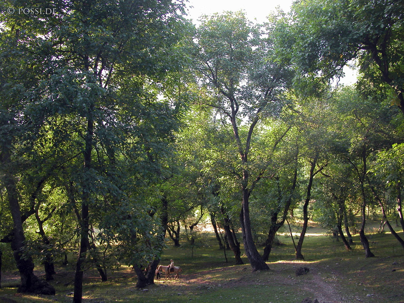 030902-0660.jpg