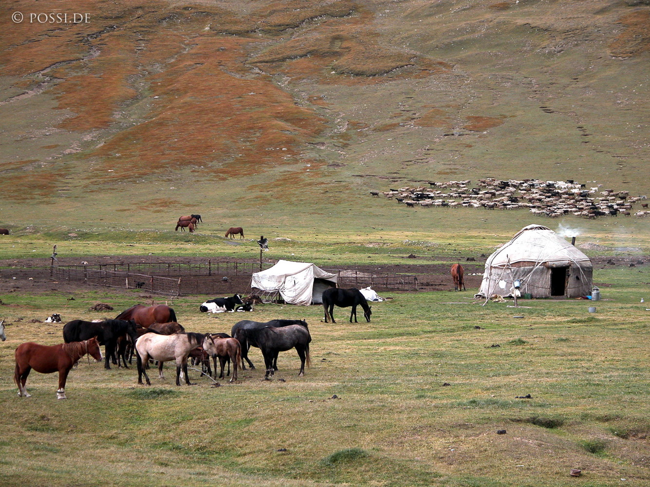 030903-0681.jpg