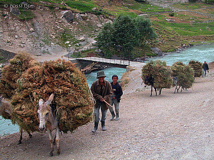 030820-9609.jpg