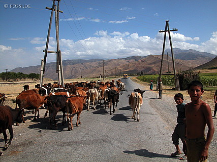 030822-9825.jpg