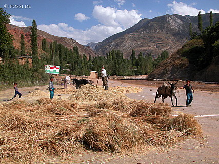 030822-9828.jpg