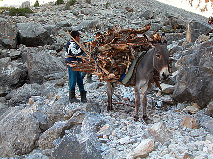 030822-9848.jpg