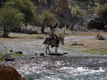 030823-9874.jpg
