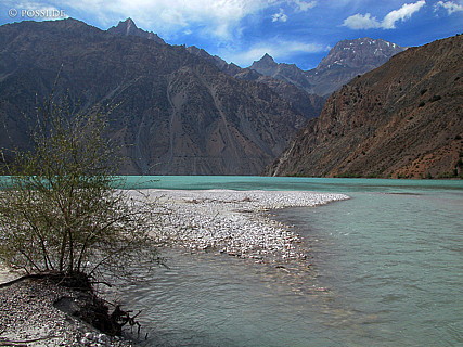 030823-9910.jpg