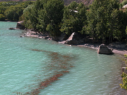 030823-9926.jpg