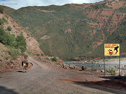 030824-9982.jpg