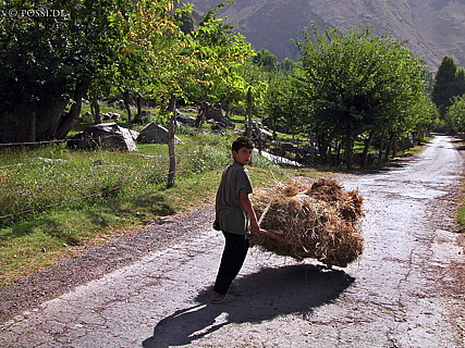 030825-0024.jpg