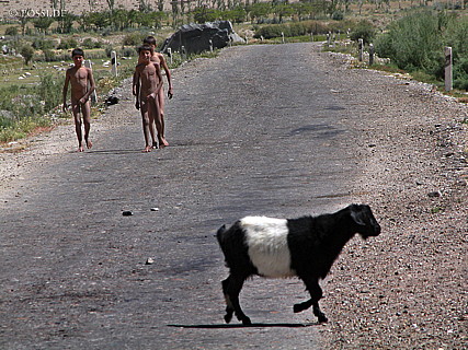 030826-0091.jpg