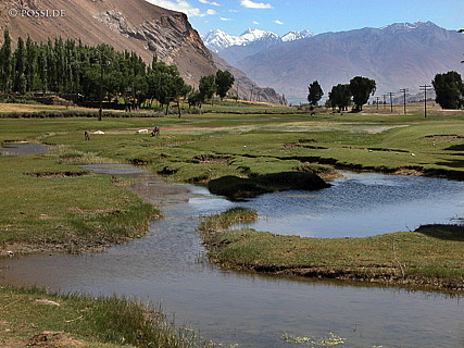 030826-0093.jpg
