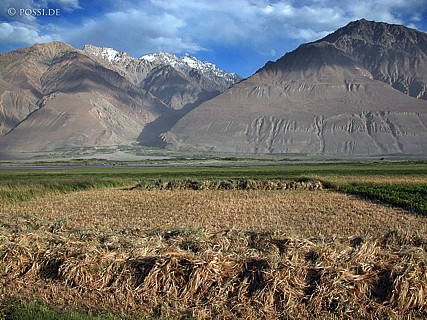 030826-0117.jpg