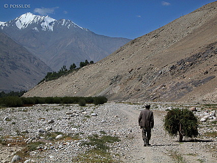 030827-0162.jpg