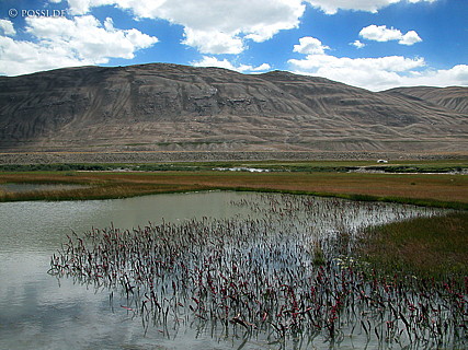 030828-0281.jpg