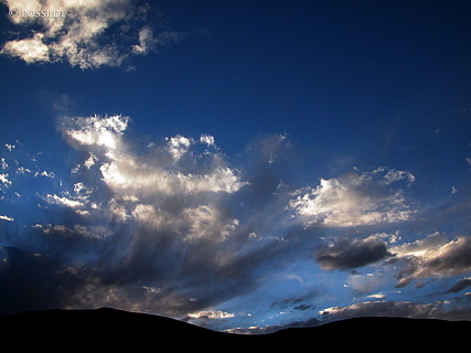 030829-0363.jpg