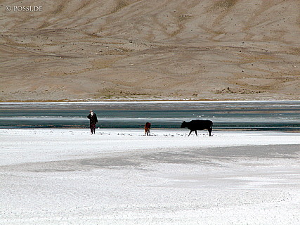 030830-0392.jpg