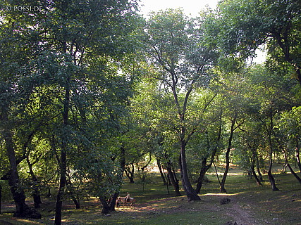 030902-0660.jpg